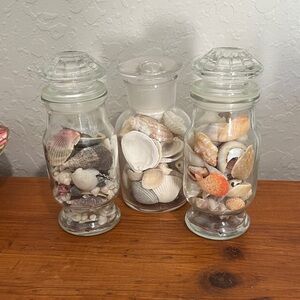 Vintage Wagner Glass Jars - Filled with Assortment of Shells Set of 3
